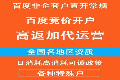 百度竞价广告投放策略：案例分析及优化建议